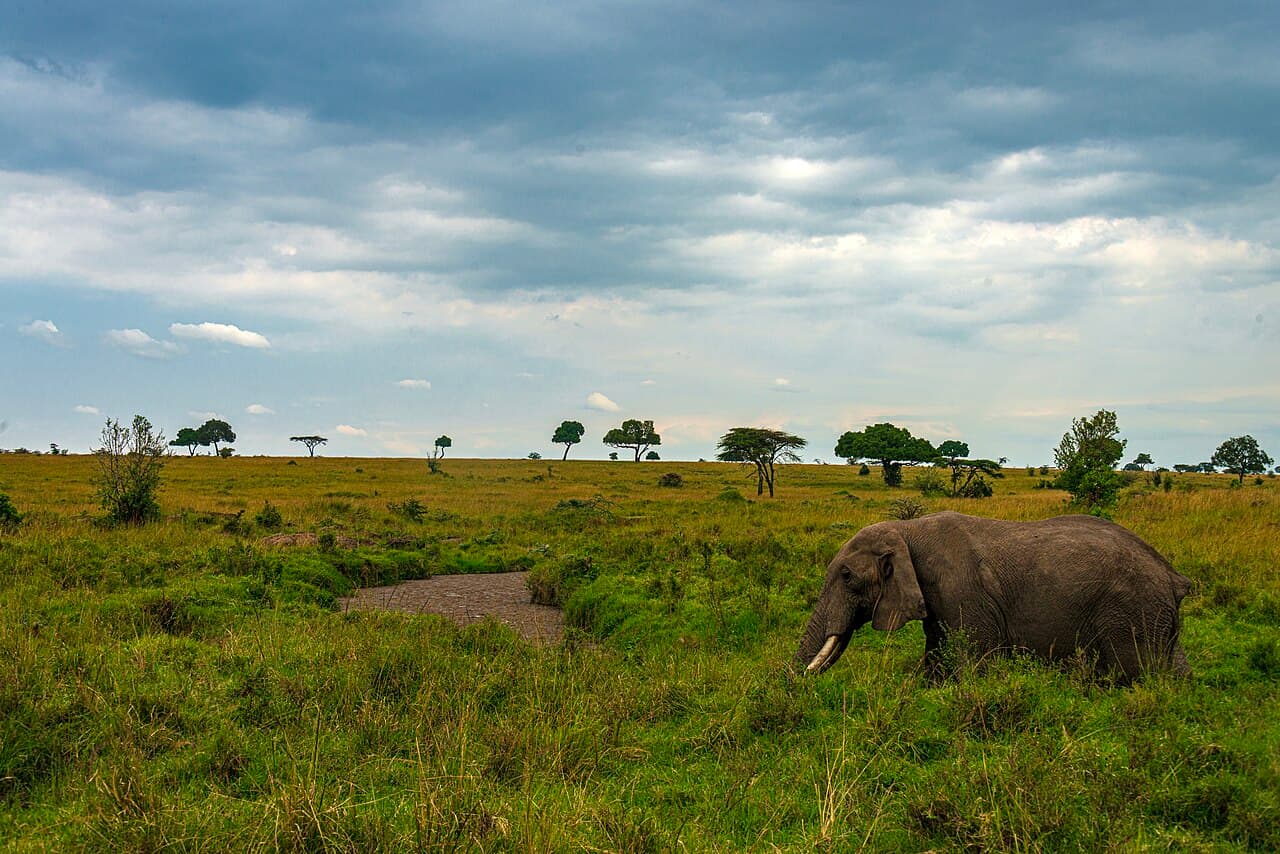 Kenya